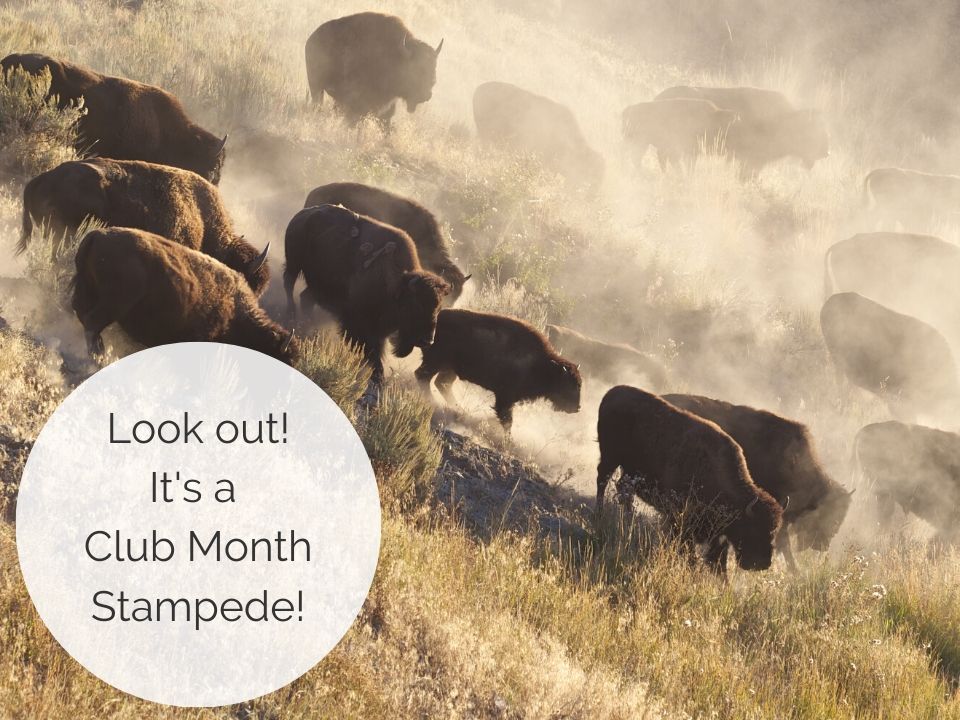 “We Are Both Becoming Math People.” Some Incredible Club Month Stories.